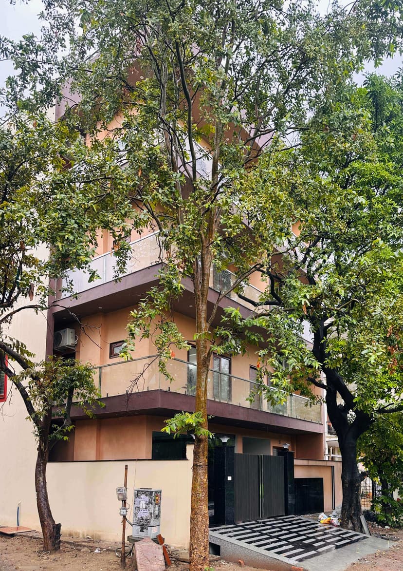 PG image 5